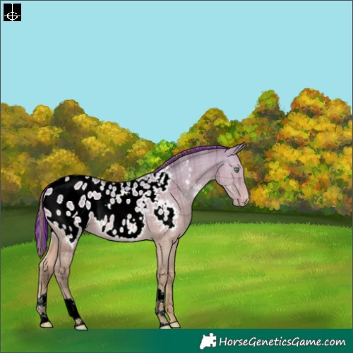 Horse Color:Painted Plaid  Amber Champagne Dun Blanket 