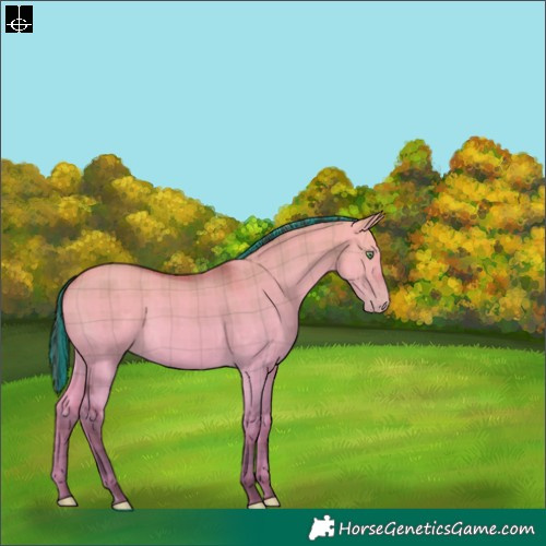 Horse Color:Painted Plaid  Sable Champagne Dun 