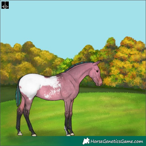 Horse Color:Painted Brown Dun Snowcap 