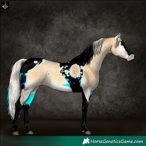 Horse Color:Silver Buckskin Ice Onyx Splash Tobiano Varnish Rabicano 