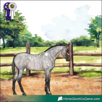 Horse Color:White Spotted Brown Roan