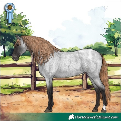 Horse Color:Liver Red Roan Appaloosa Rabicano 