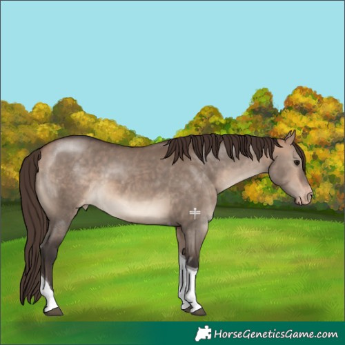Horse Color:Bay Dun Tobiano Varnish 