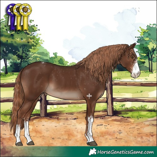 Horse Color:Liver Chestnut Sabino Varnish 