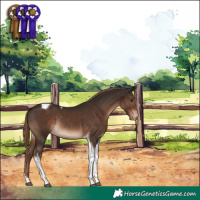 Horse Color:Liver Chestnut Tobiano Appaloosa Rabicano