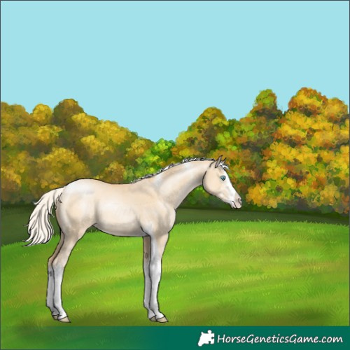 Horse Color:Silver Smoky Grullo Pearl Sabino Tobiano 