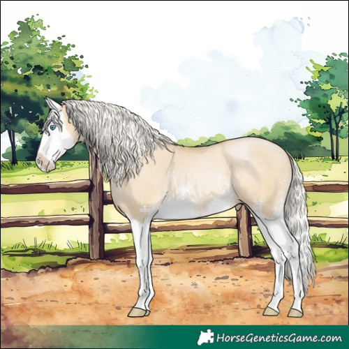 Horse Color:Silver Smoky Grullo Pearl Sabino Splash Rabicano 