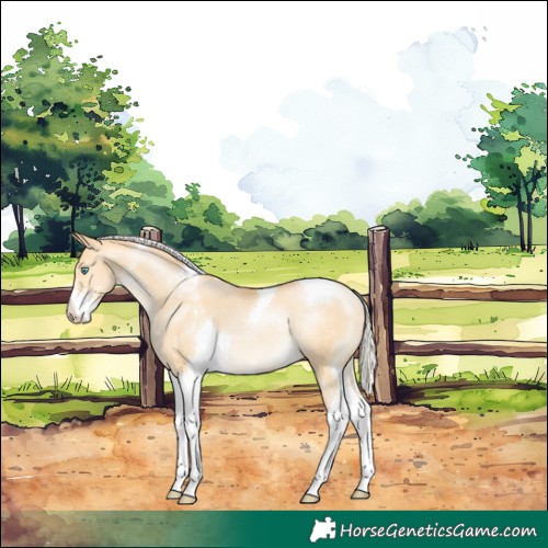 Horse Color:Silver Buckskin Pearl Dun Sabino Tobiano Varnish Rabicano 