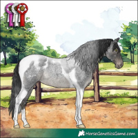 Horse Color:Blue Roan Mushroom Tobiano Appaloosa Rabicano 