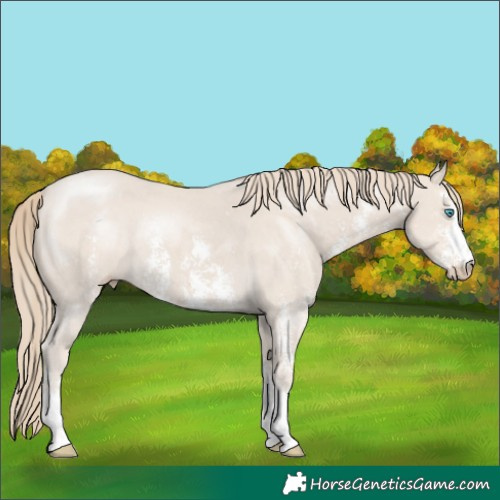 Horse Color:Smoky Creme Sabino 