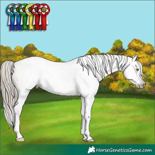 Horse Color:Gray Amber Champagne Dun Tobiano Varnish Rabicano 