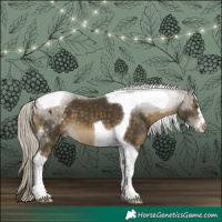 Horse Color:Silver Buckskin Tobiano 