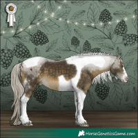 Horse Color:Silver Buckskin Tobiano 