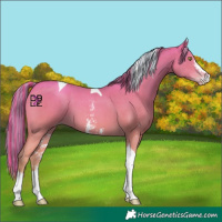 Horse Color:Painted Gold Champagne Sabino Tobiano