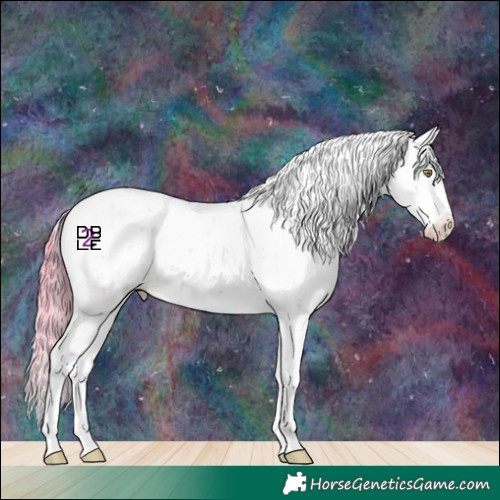 Horse Color:Platinum Gold Champagne Sabino Appaloosa 