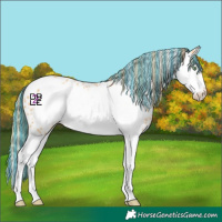 Horse Color:Painted Gold Champagne Sabino Splash Frame Appaloosa