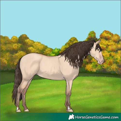 Horse Color:Amber Champagne Dun 