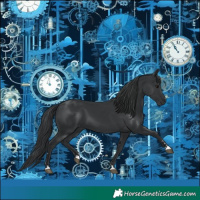 Horse Color:Black 