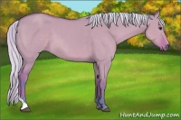 Horse Color:Watercolor Silver Bay Dun Tobiano