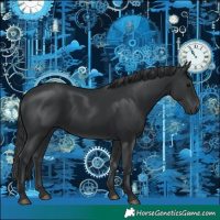 Horse Color:Black 