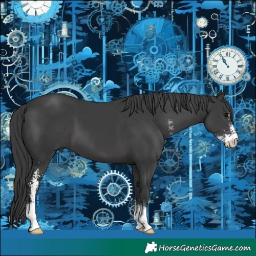 Horse Color:Black Sabino 