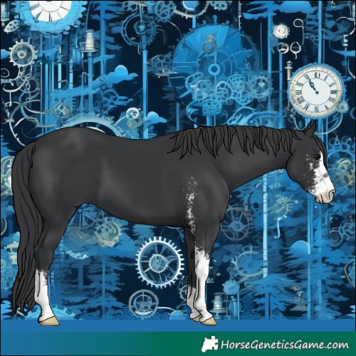 Horse Color:Black Sabino