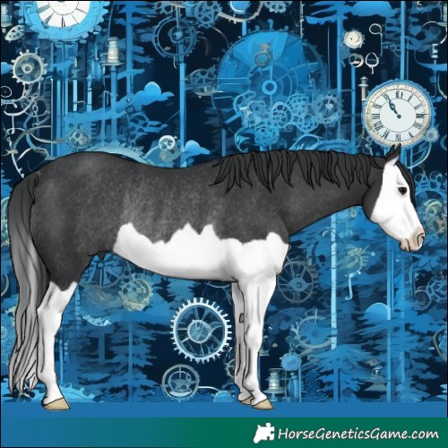 Horse Color:Black Splash Rabicano 