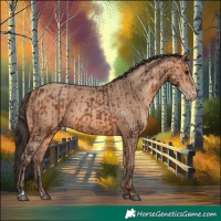 Horse Color:Bay Rabicano and Amber Champagne Rabicano