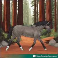 Horse Color:Smoky Grullo 