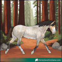 Horse Color:Buckskin Roan Dun Sabino 