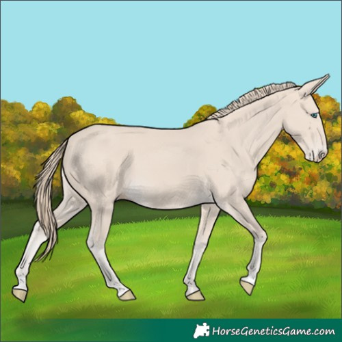 Horse Color:Smoky Creme 