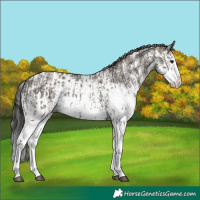 Horse Color:Smoky Grullo Sabino Splash and Smoky Grullo Sabino Splash