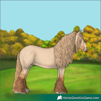 Horse Color:Red Dun Splash 