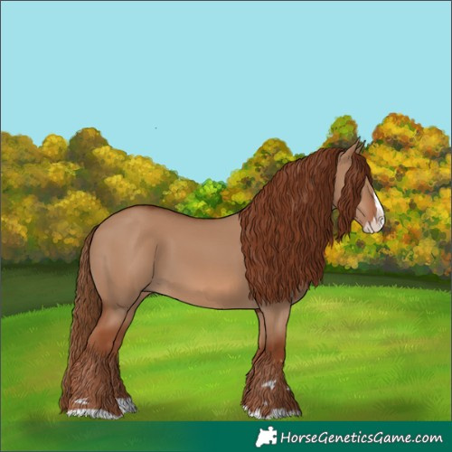 Horse Color:Red Dun Splash