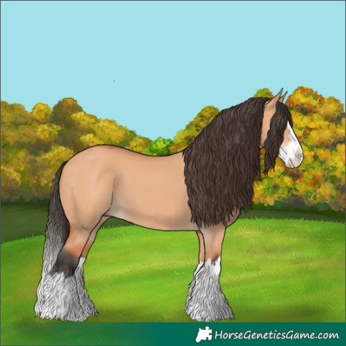 Horse Color:Bay Dun Splash 