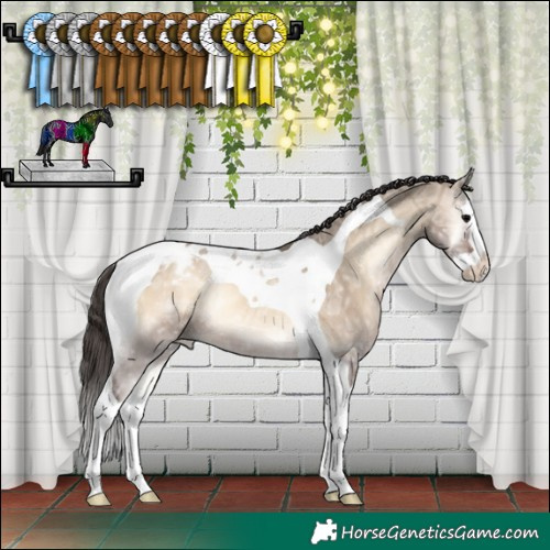 Horse Color:Brown Ice Onyx Splash Tobiano Varnish Rabicano 