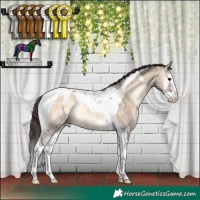 Horse Color:Brown Ice Onyx Splash Tobiano Appaloosa Rabicano 