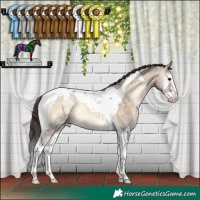 Horse Color:Brown Ice Onyx Splash Tobiano Appaloosa Rabicano 
