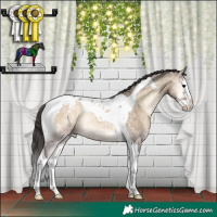 Horse Color:Brown Ice Onyx Splash Tobiano Appaloosa Rabicano 