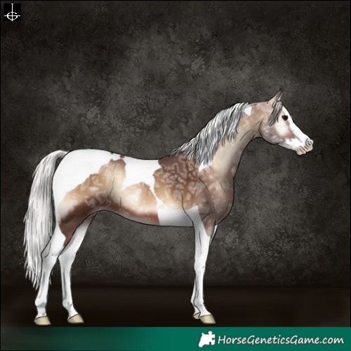 Horse Color:Silver Brown Ice Onyx Splash Tobiano Varnish Rabicano 