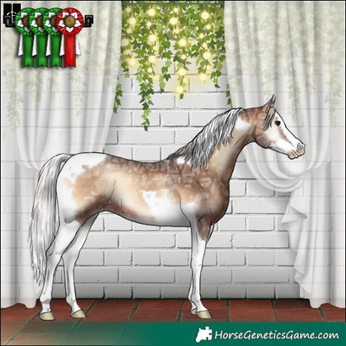 Horse Color:Silver Brown Ice Onyx Splash Tobiano Varnish Rabicano 