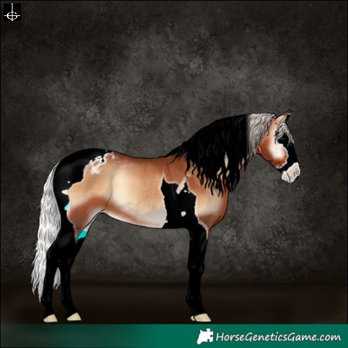 Horse Color:Silver Bay Onyx Splash Tobiano Varnish Rabicano 