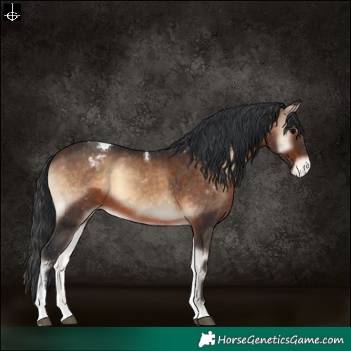 Horse Color:Brown Onyx Tobiano Varnish Rabicano 