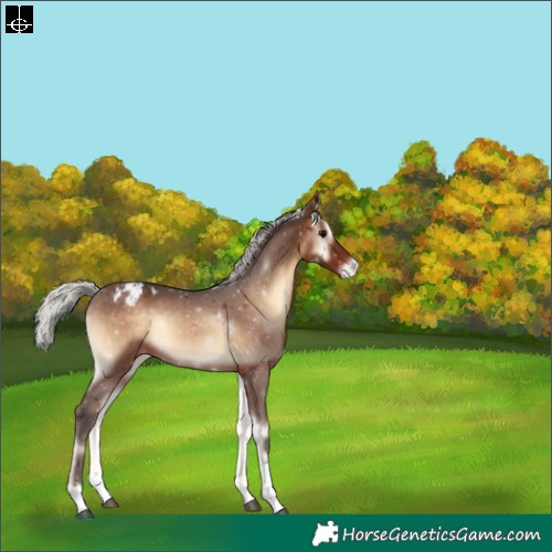 Horse Color:Silver Brown Onyx Tobiano Varnish Rabicano 