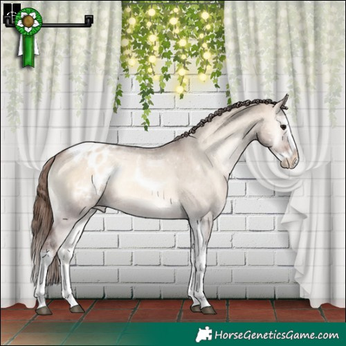 Horse Color:Brown Onyx Splash Tobiano Varnish Rabicano 