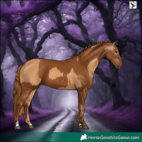 Horse Color:Chestnut and Gray Chestnut