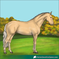 Horse Color:Palomino 