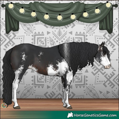 Horse Color:Brown Sabino