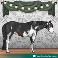 Horse Color:Brown Sabino
