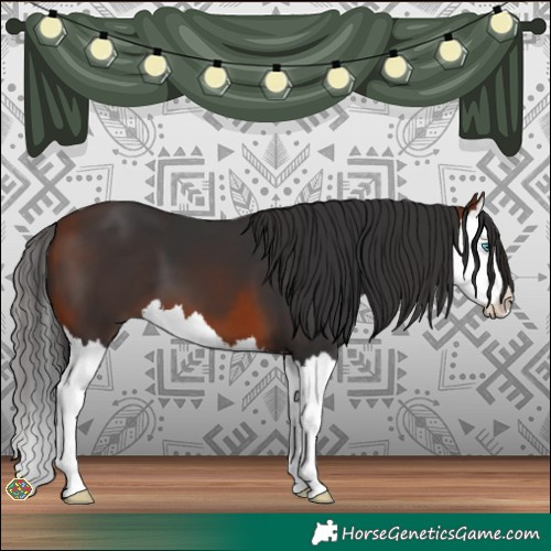 Horse Color:Bay Splash 